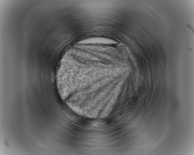 X0000097490555200803141959