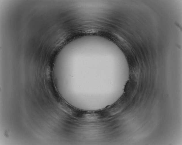 X0000097490556200803141959