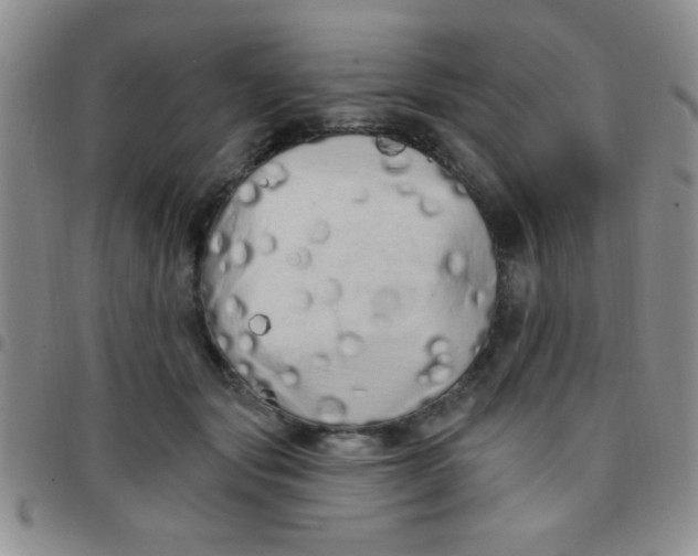 X0000097490557200803141959