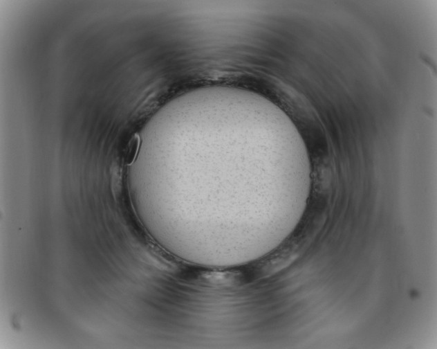 X0000097490558200803141959