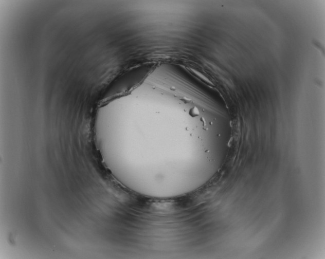 X0000097490560200803141959