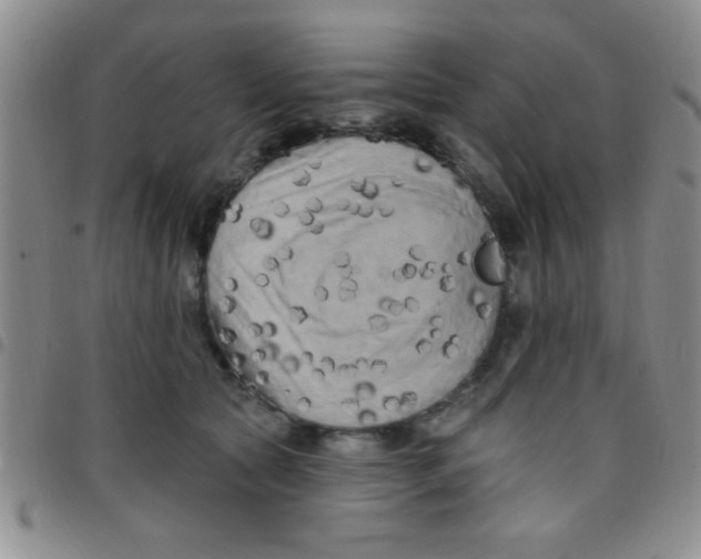 X0000097490561200803141959