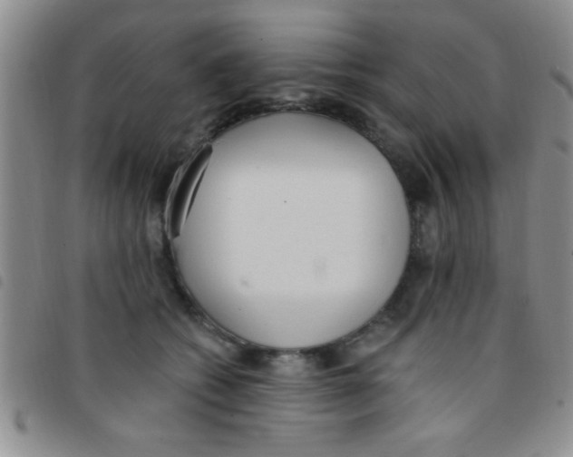 X0000097490562200803141959