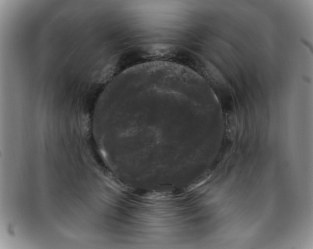 X0000097490563200803141959