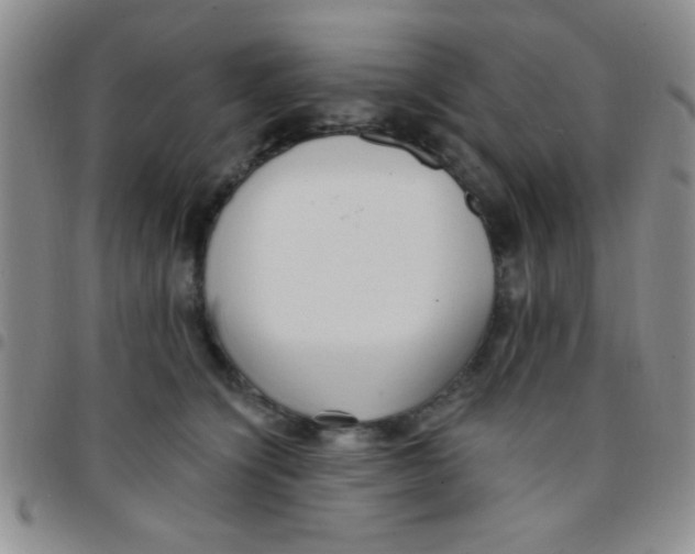 X0000097490564200803141959