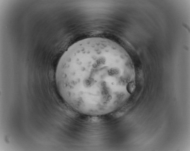 X0000097490565200803141959