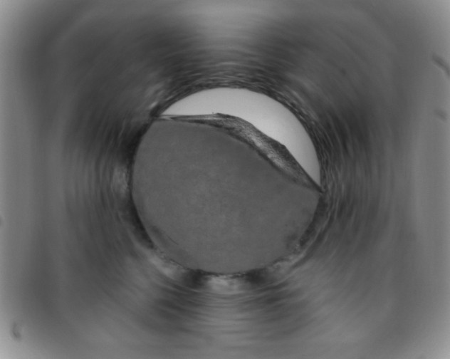 X0000097490568200803141959