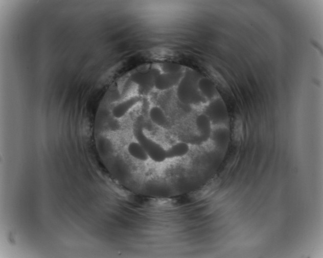 X0000097490569200803141959