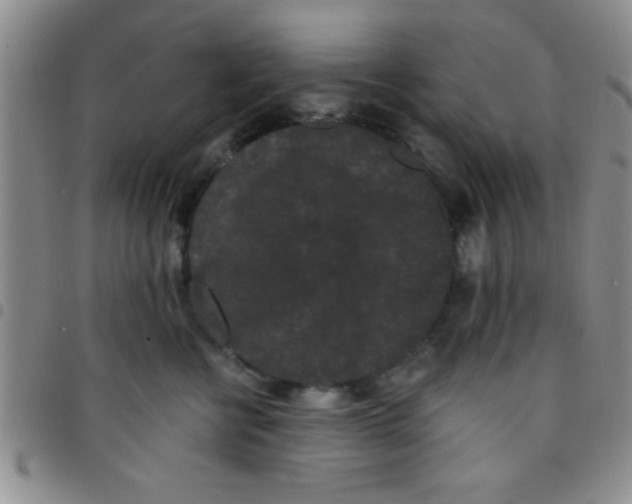 X0000097490570200803141959