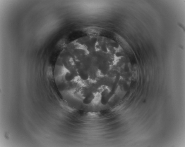 X0000097490573200803141959