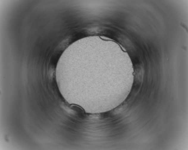 X0000097490574200803141959