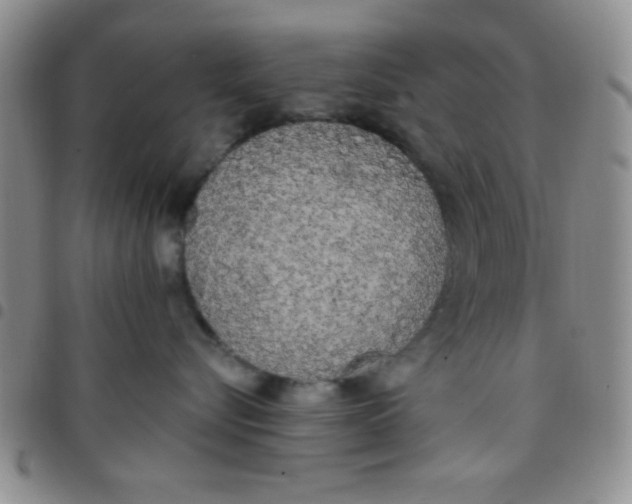 X0000097490576200803142000