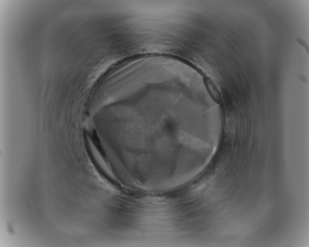 X0000097490577200803141959