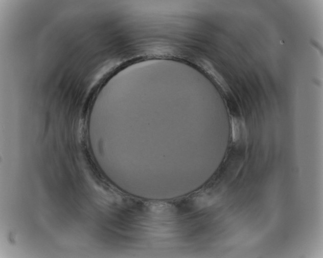 X0000097490579200803141959