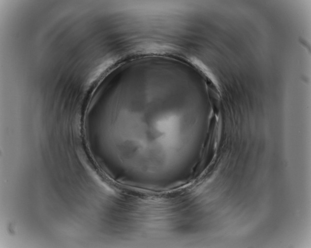 X0000097490581200803141959