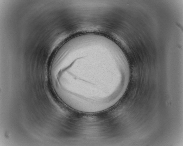 X0000097490582200803141959