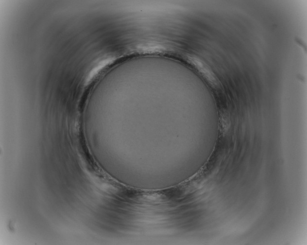 X0000097490583200803141959