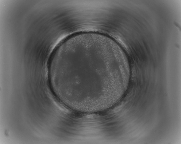 X0000097490584200803141959