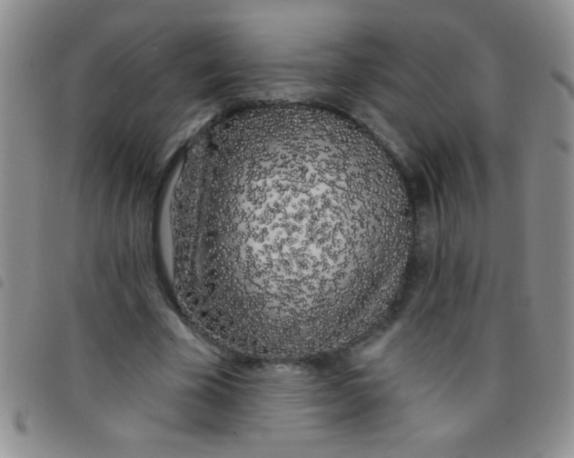 X0000097490585200803141959