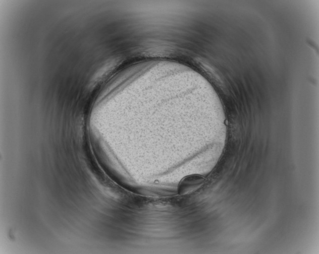 X0000097490586200803141959