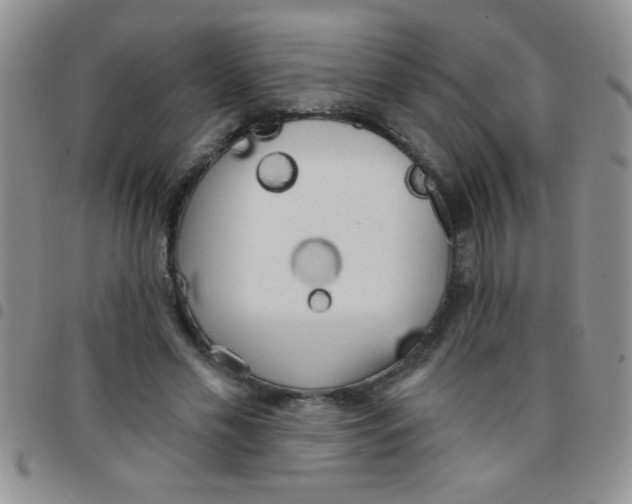 X0000097490589200803141959