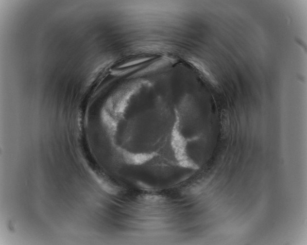 X0000097490590200803141959