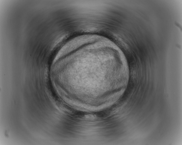 X0000097490591200803141959