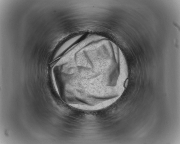 X0000097490592200803141958