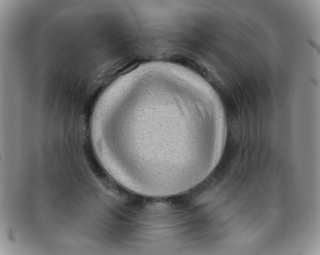 X0000097490594200803141958