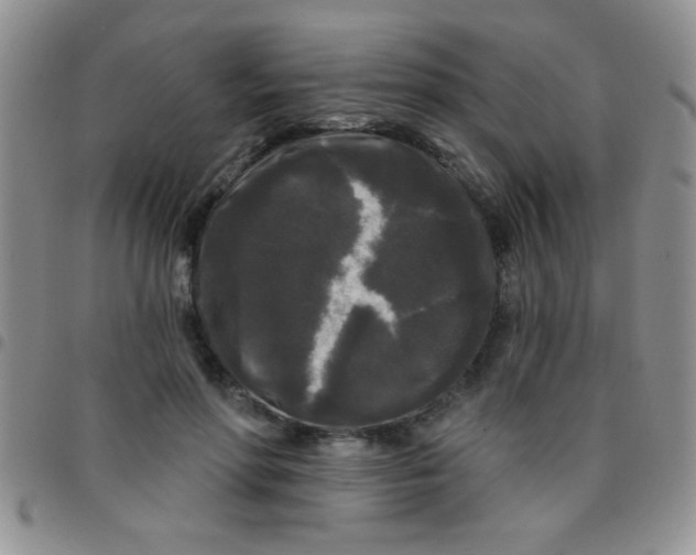 X0000097490598200803141958