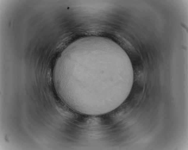 X0000097490599200803141958