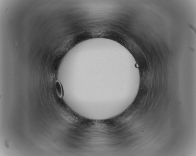 X0000097490601200803141958