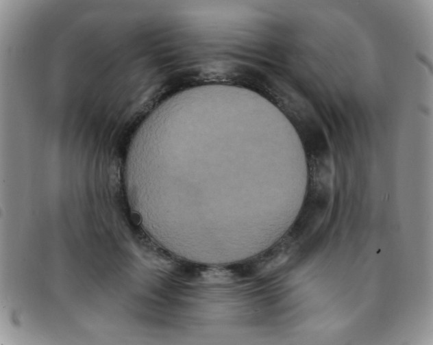 X0000097490603200803141958