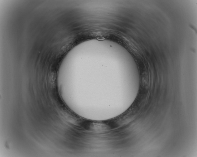 X0000097490605200803141958