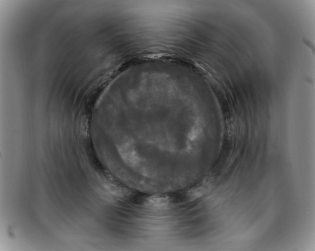 X0000097490606200803141958