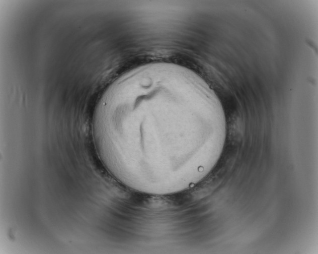 X0000097490608200803141958