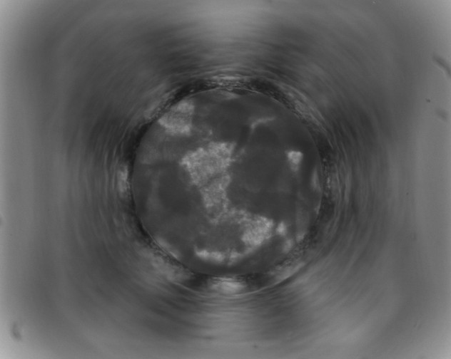 X0000097490610200803141958