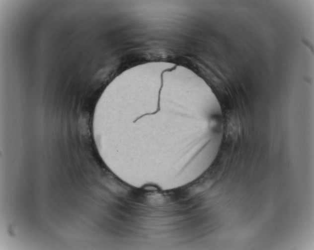 X0000097490616200803141958