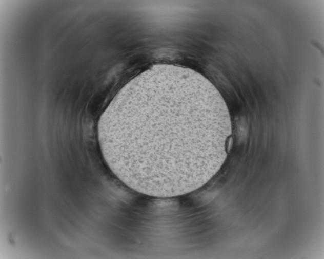 X0000097490619200803141958