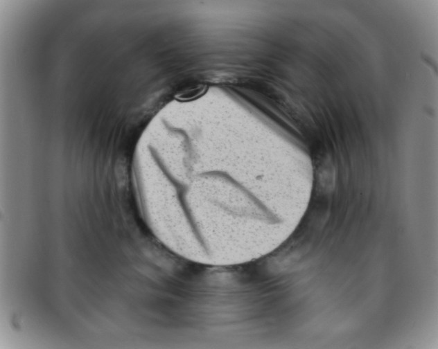 X0000097490620200803141958