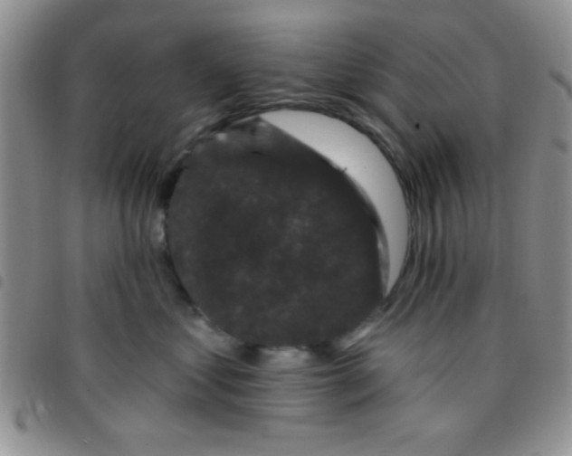 X0000097490621200803141958