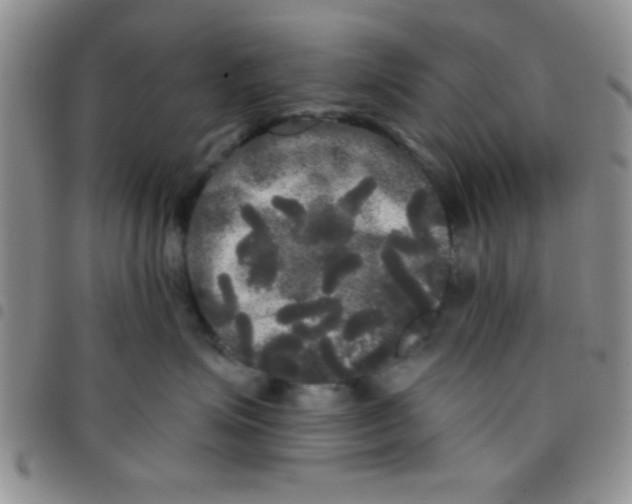 X0000097490623200803141958