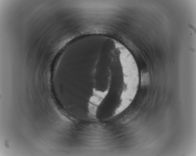 X0000097490627200803141957