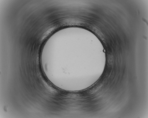 X0000097490629200803141957