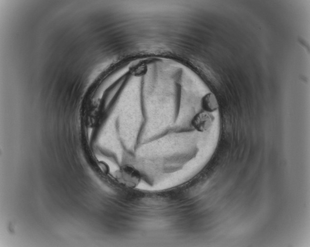 X0000097490630200803141957