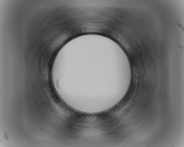 X0000097490631200803141957