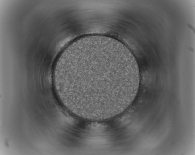 X0000097490632200803141958