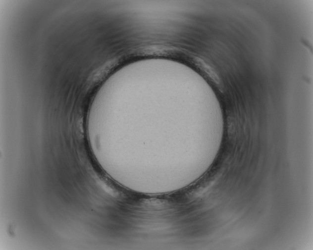 X0000097490633200803141958