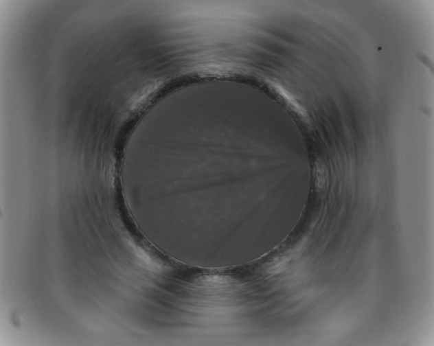 X0000097490637200803141958