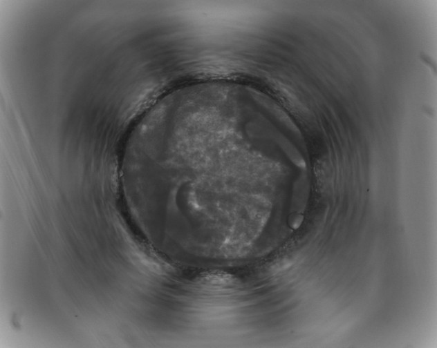 X0000097490642200803141958